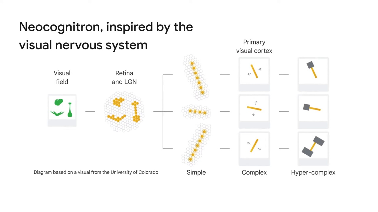 2/52 Convolutional Neural Networks