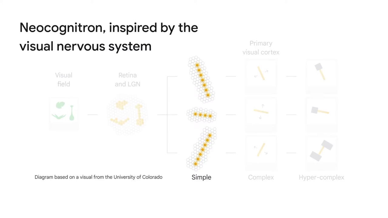 3/52 Convolutional Neural Networks