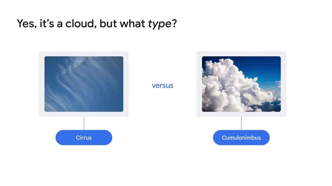 3/38 Which vision product is right for you?