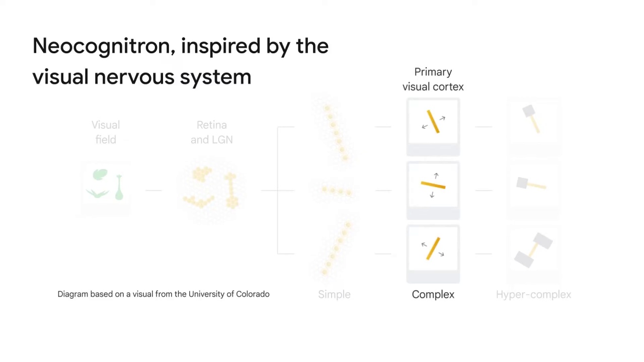 4/52 Convolutional Neural Networks