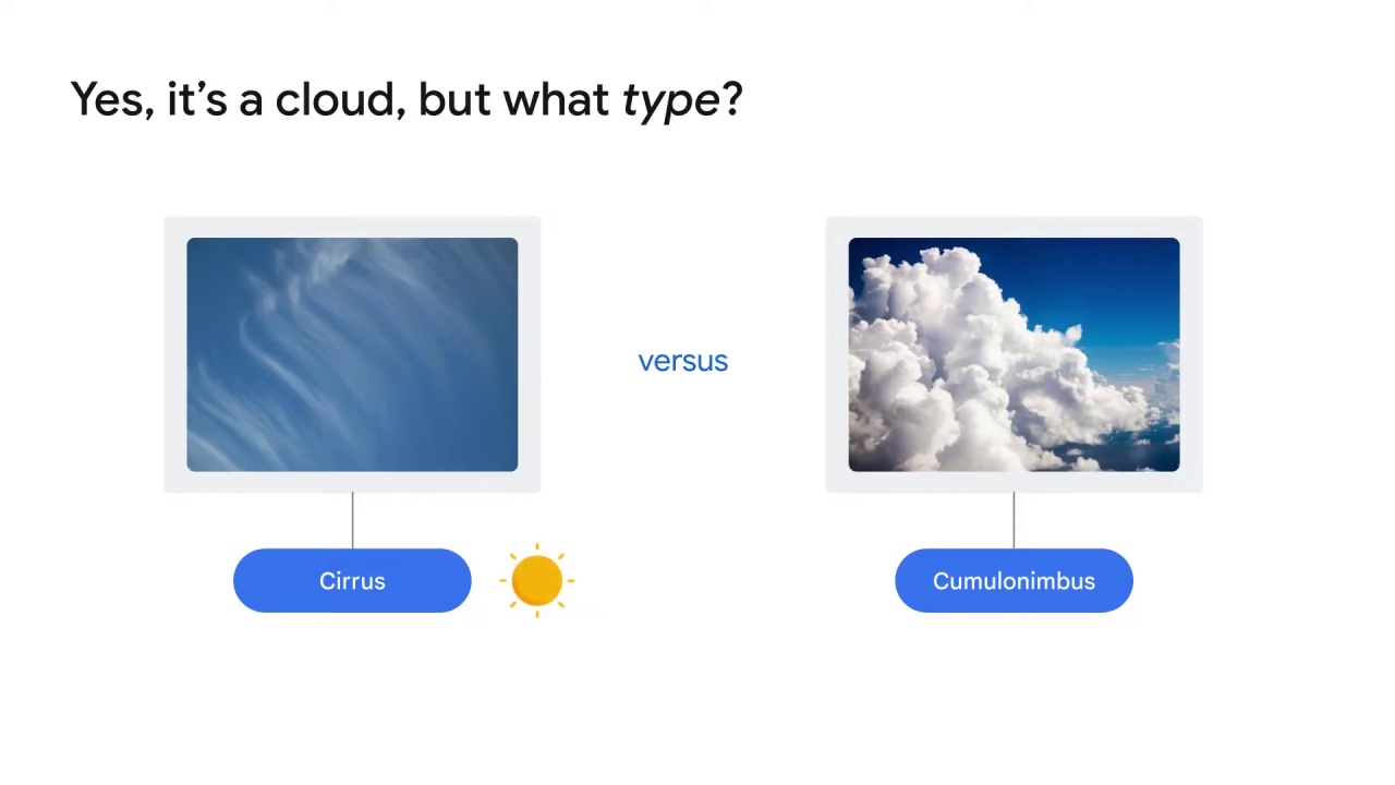 4/38 Which vision product is right for you?