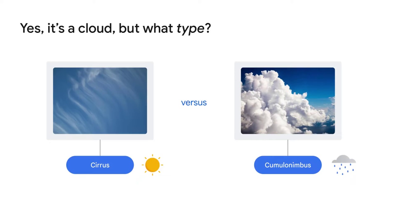 5/38 Which vision product is right for you?