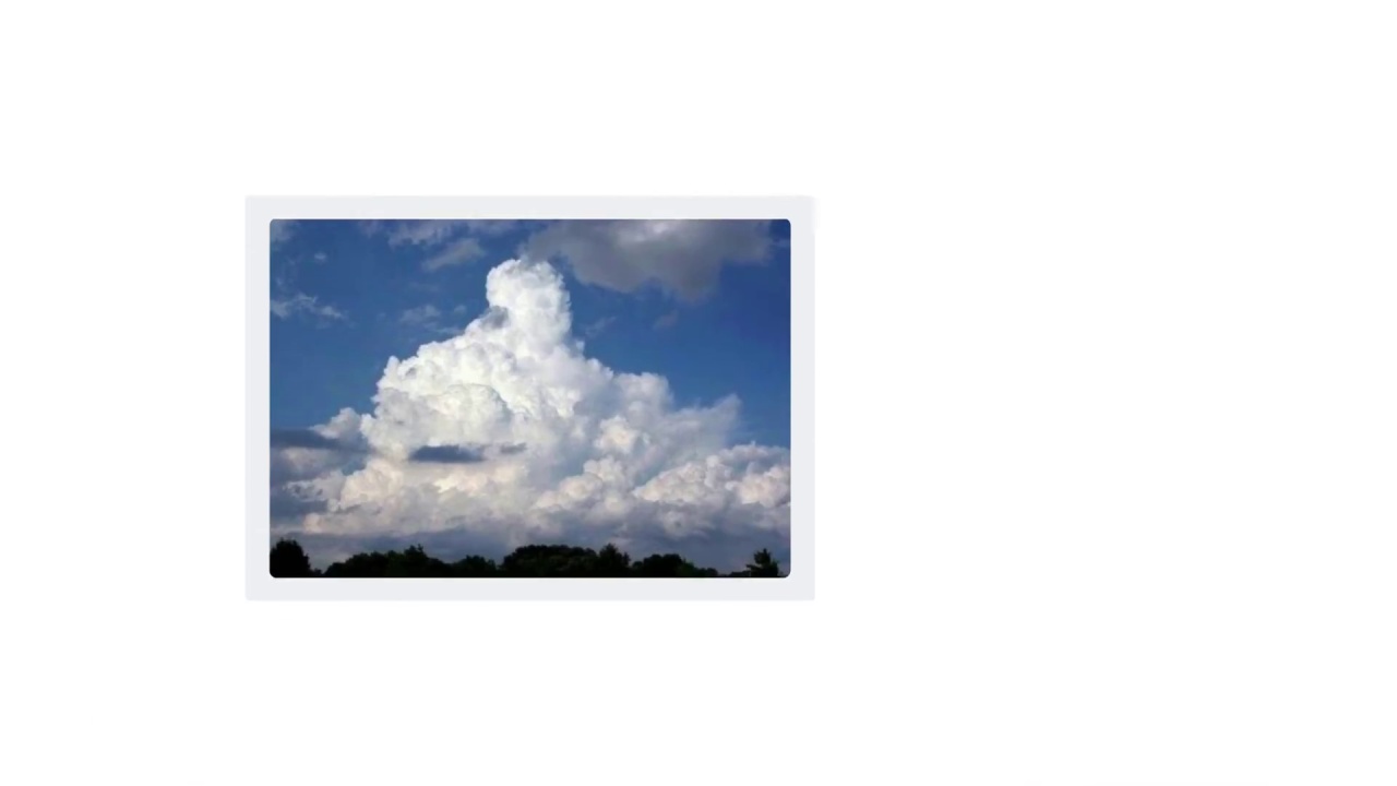 11/38 Which vision product is right for you?