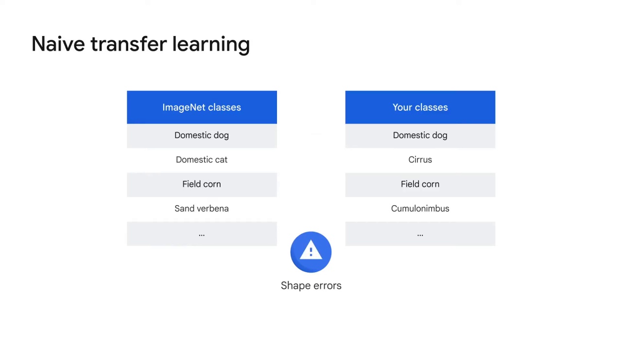 14/42 Transfer Learning