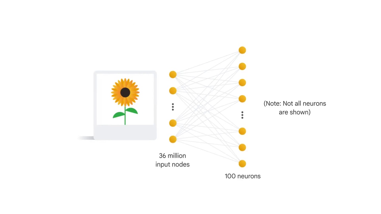 25/52 Convolutional Neural Networks