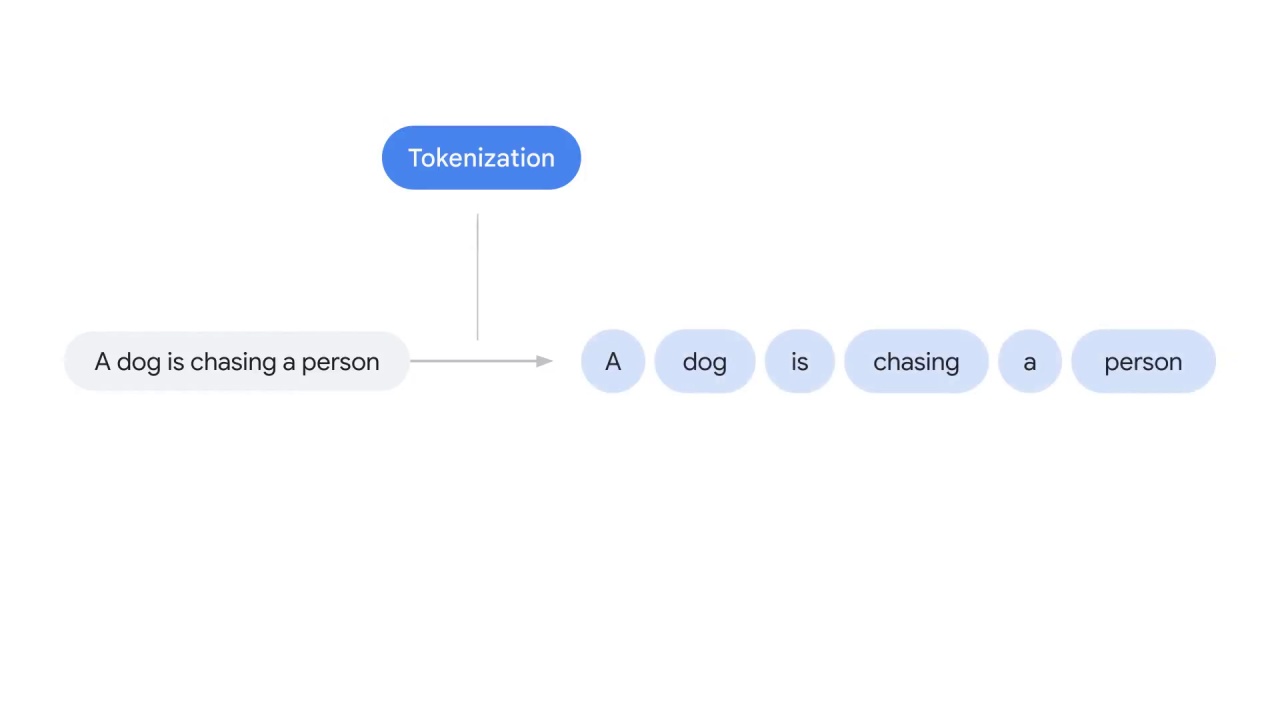 29/58 Tokenization